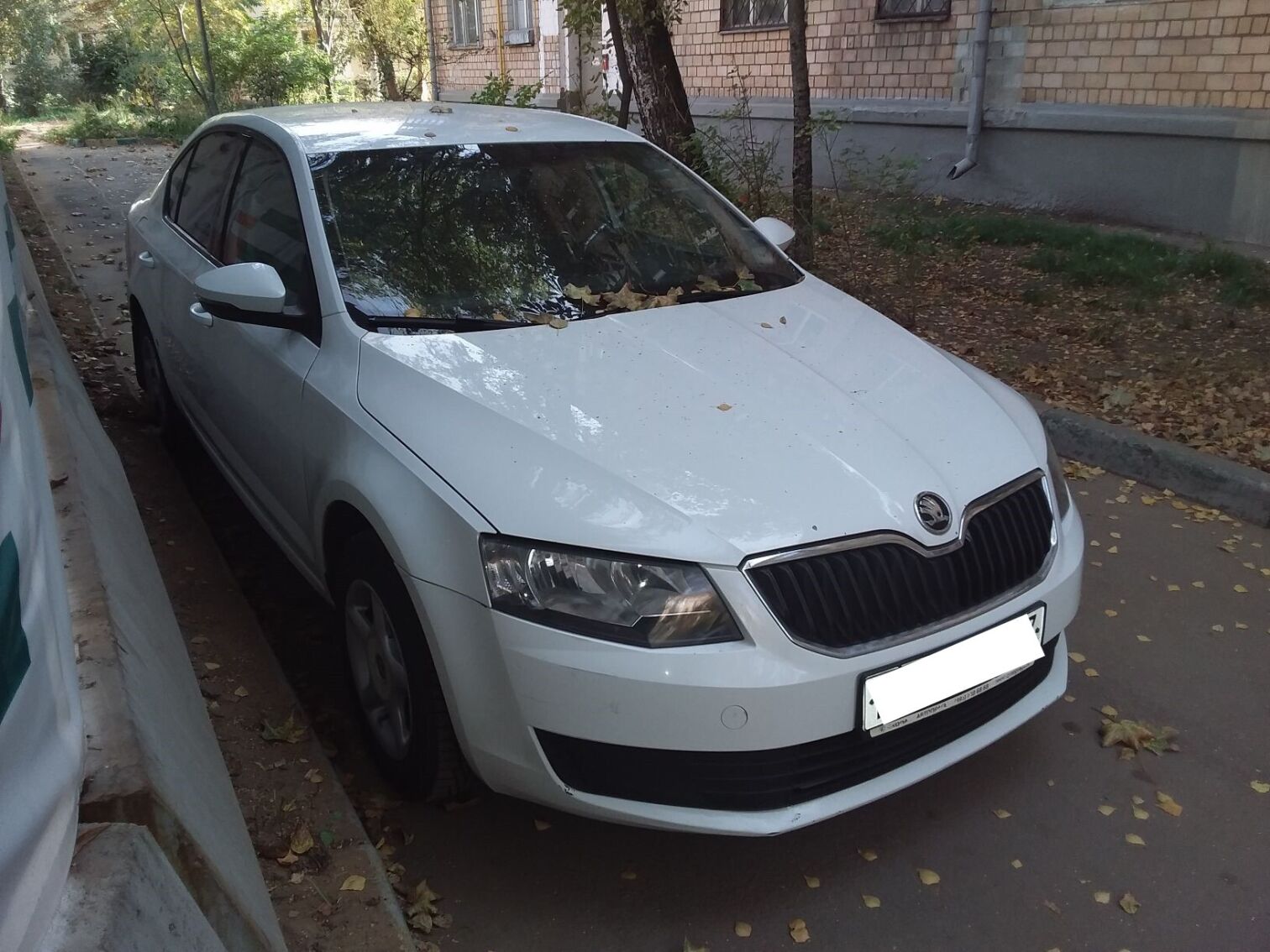 Skoda Octavia, 2016: купить бу автомобиль за 713000.00 руб - Совкомбанк